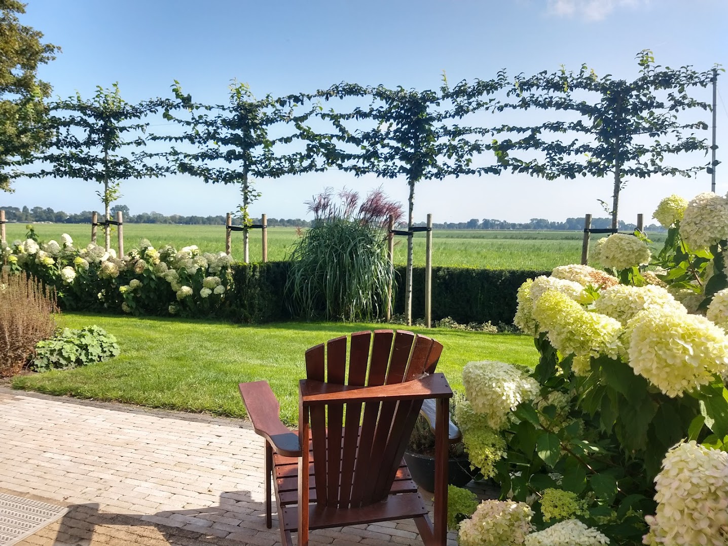 IMG_20210903_155429754_HDR