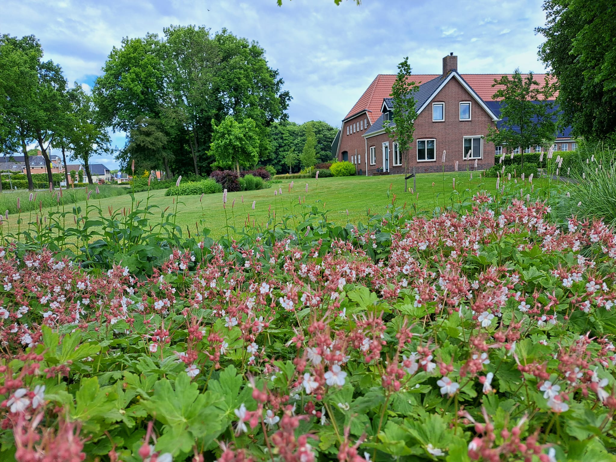 WhatsApp Image 2025-06-17 at 10.14.45